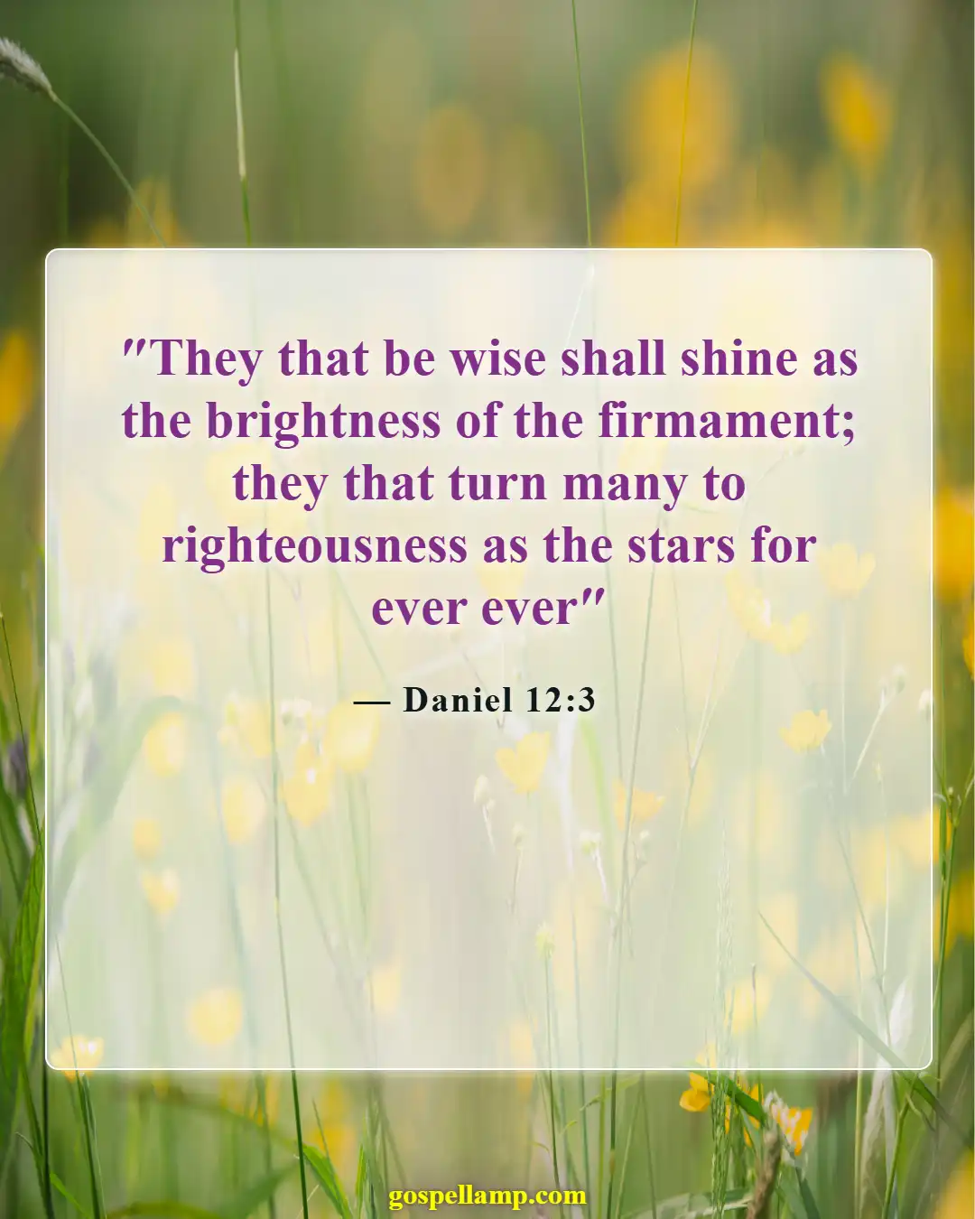 Bible Verses About Rewards In Heaven (Daniel 12:3)