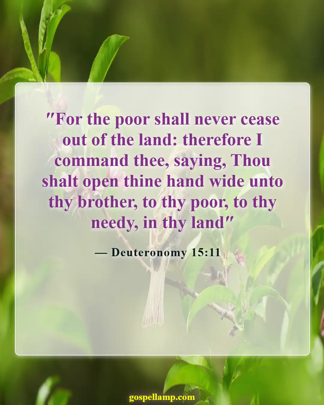 Bible Verses About Respect For Human Life (Deuteronomy 15:11)