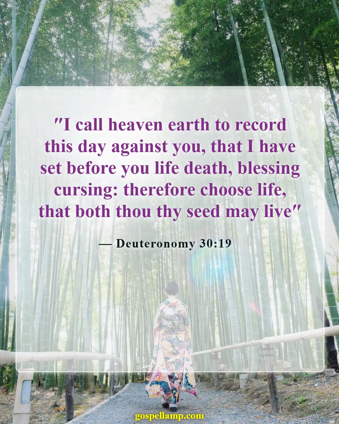 Deuteronomy 30:19 :- Choose life, God offers but does not impose