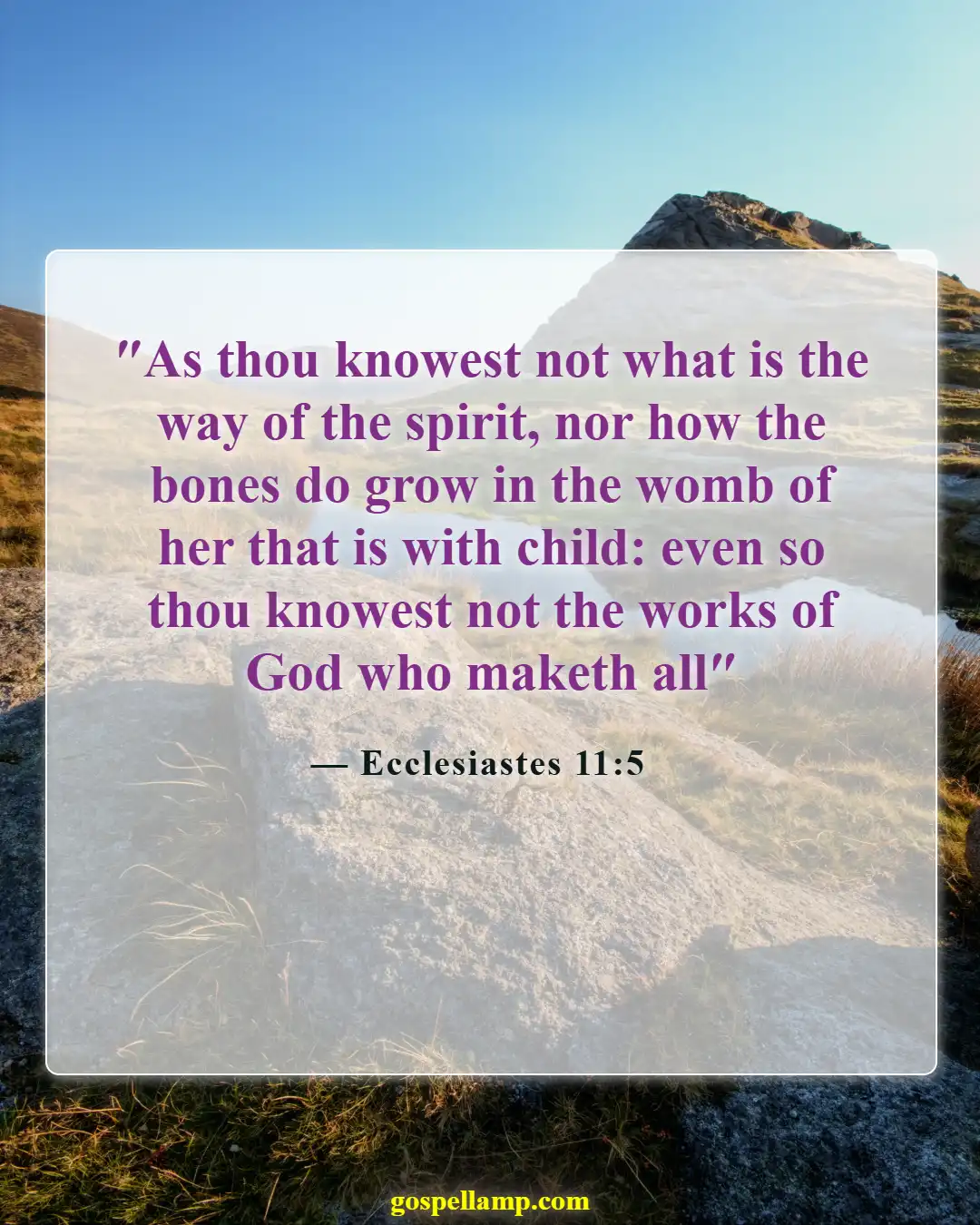 Bible Verses About Sons Are A Blessing From The Lord (Ecclesiastes 11:5)