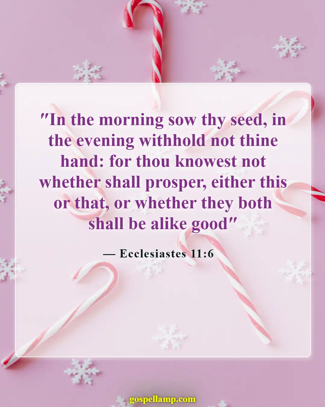 Bible Verses About Farming (Ecclesiastes 11:6)