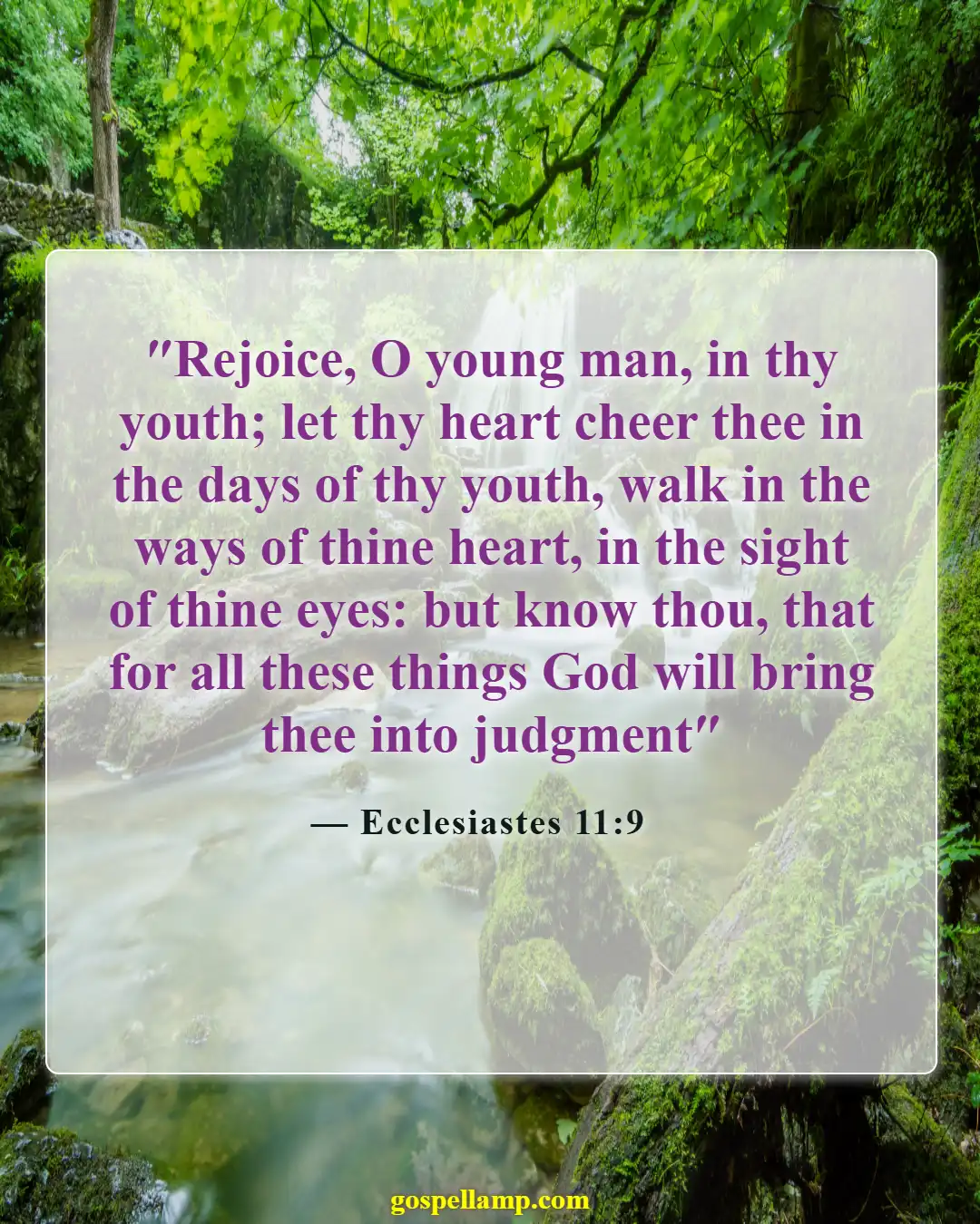 Bible Verses About Fun (Ecclesiastes 11:9)