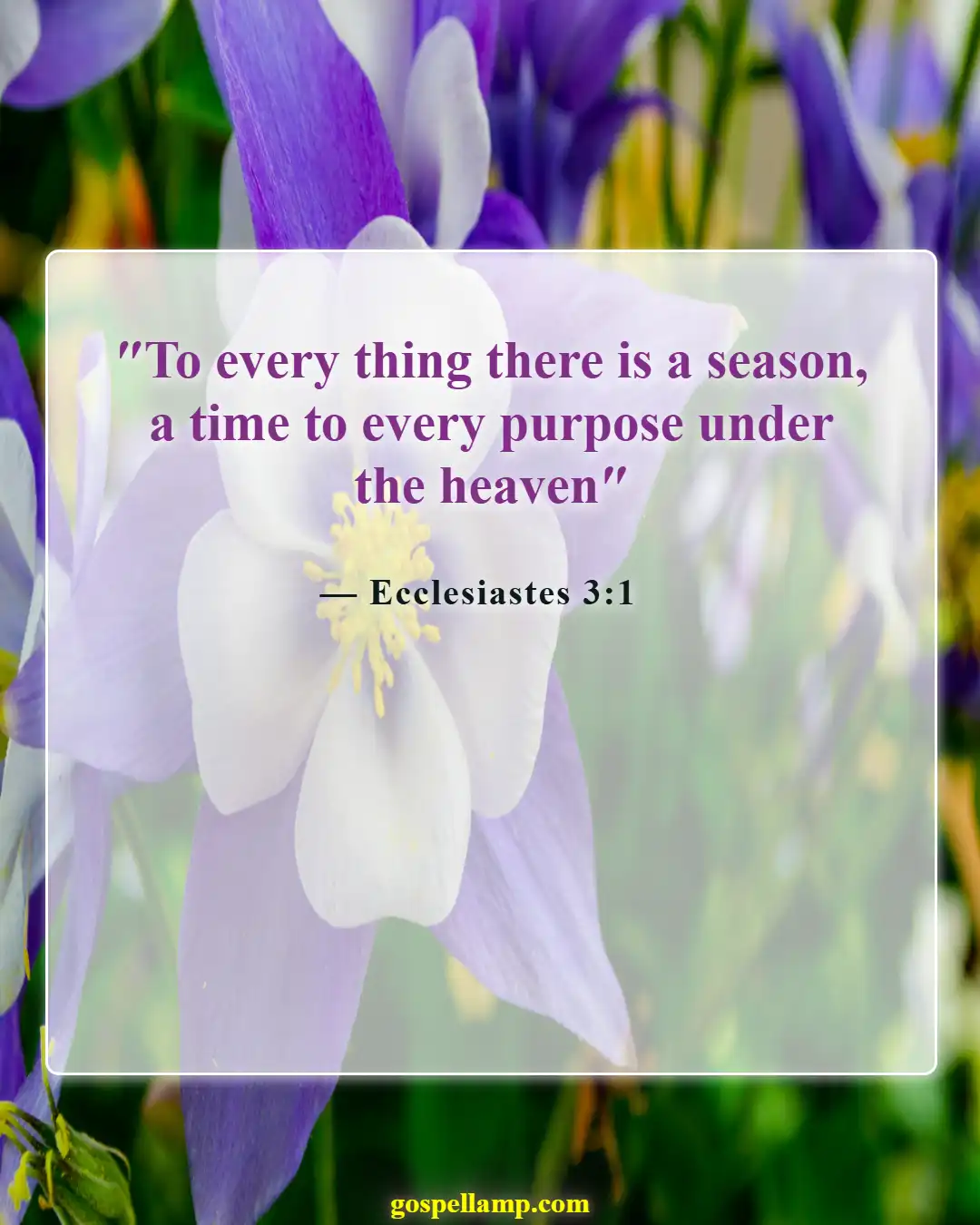 Ecclesiastes 3:1 :- A time for everything, including God