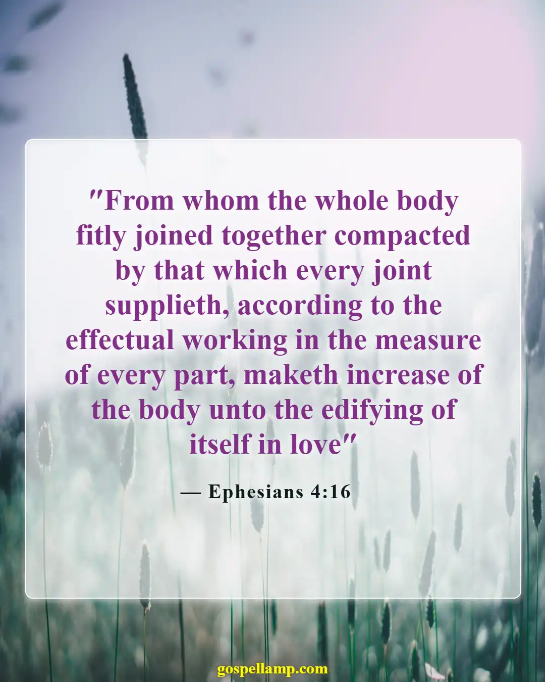 Bible Verses About Commitment To One Another (Ephesians 4:16)