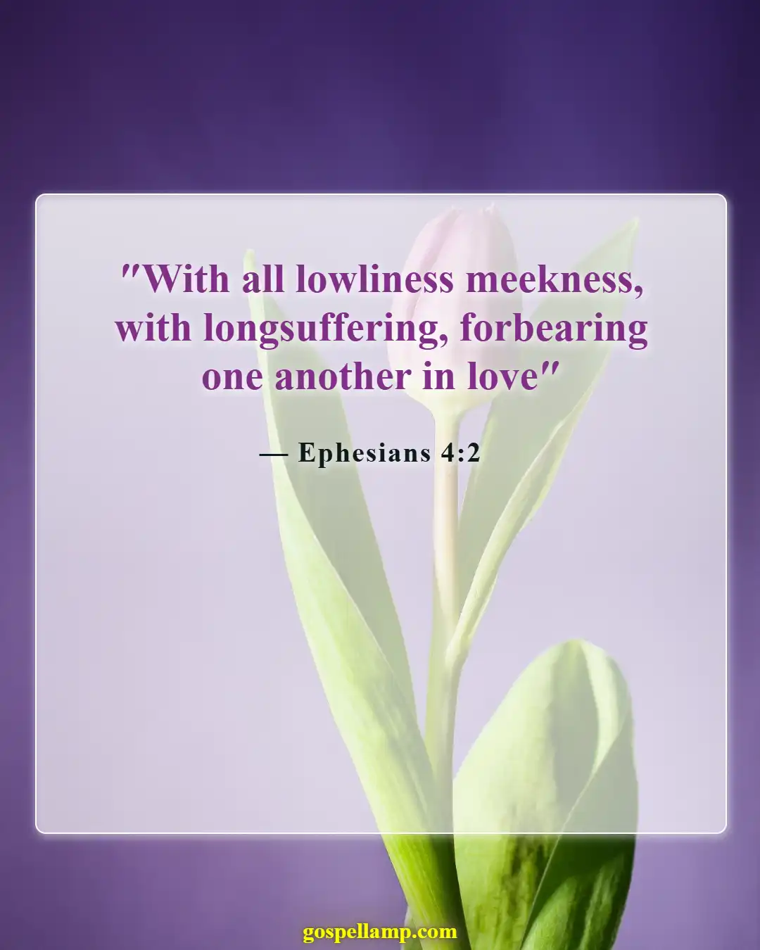 Ephesians 4:2 :- Unity through patience and humility in struggle