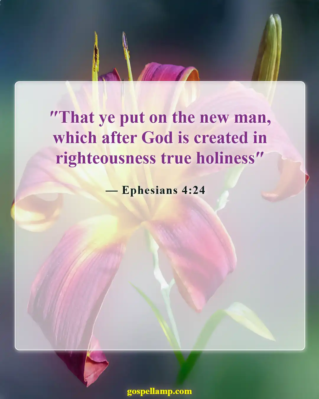 Bible Verses About Value Of A Woman (Ephesians 4:24)
