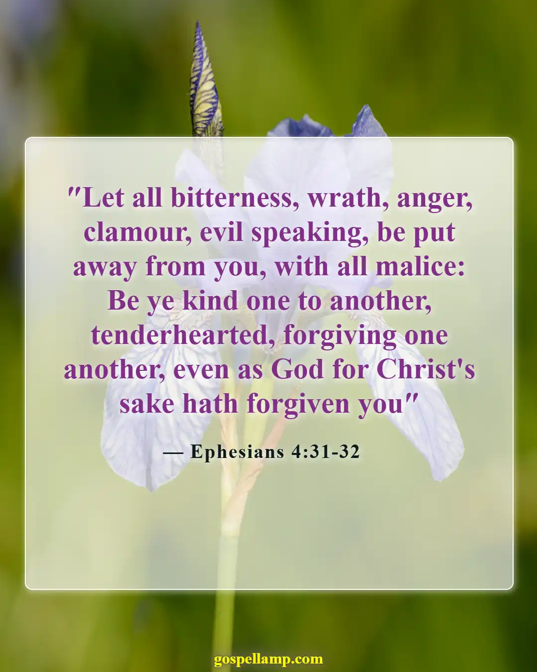 Bible Verses About Love And Compassion (Ephesians 4:31-32)