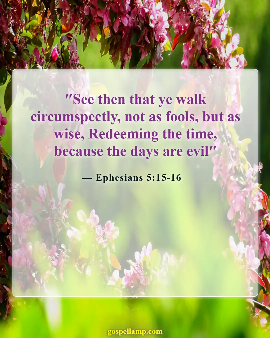 Ephesians 5:15-16 :- Live wisely, making the most of time