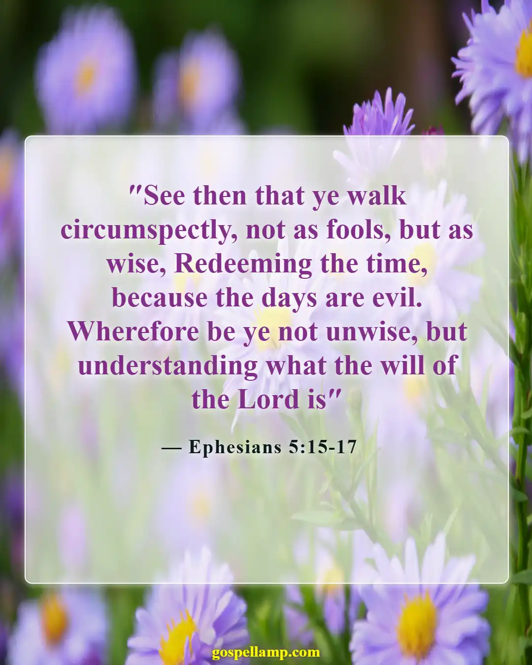 Ephesians 5:15-17 :- Live wisely and understand God's will