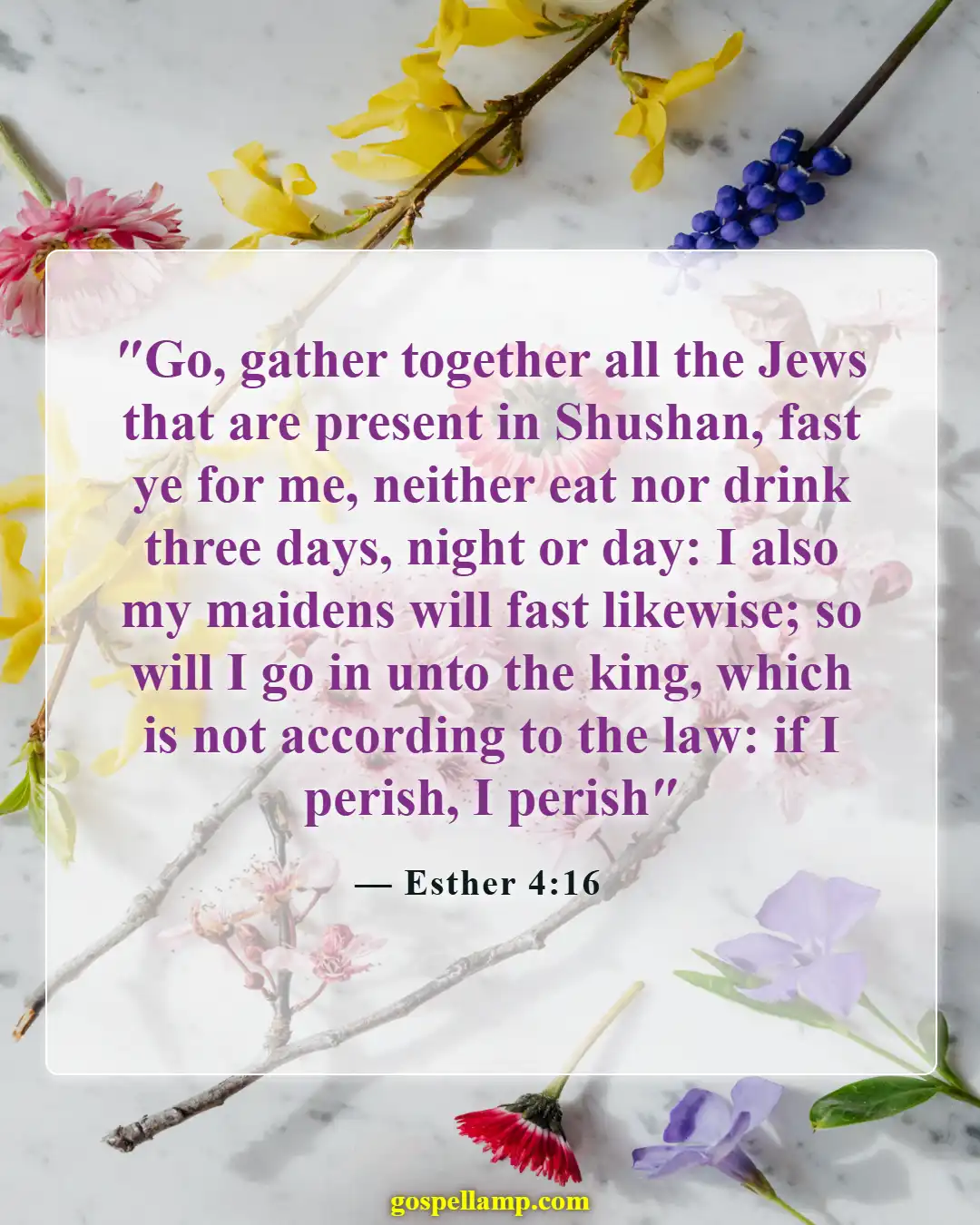 Esther 4:16 :- Fasting for family deliverance and courage