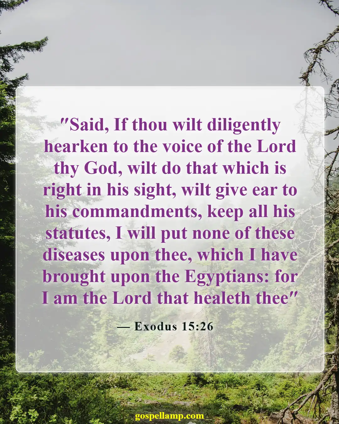 Exodus 15:26 :- God's promise of healing and guidance