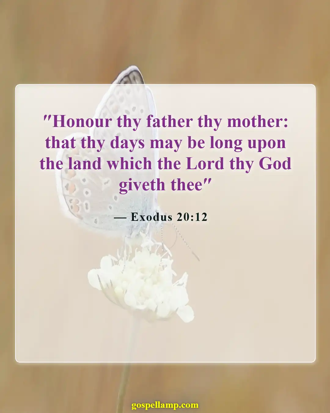 Exodus 20:12 :- Honor your parents for long life
