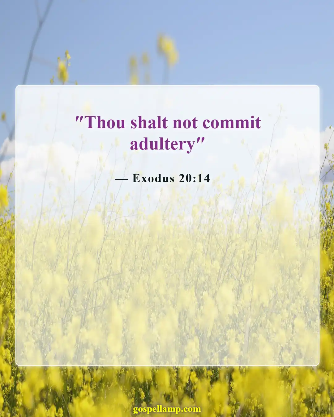 Exodus 20:14 :- Do not commit adultery commandment explained