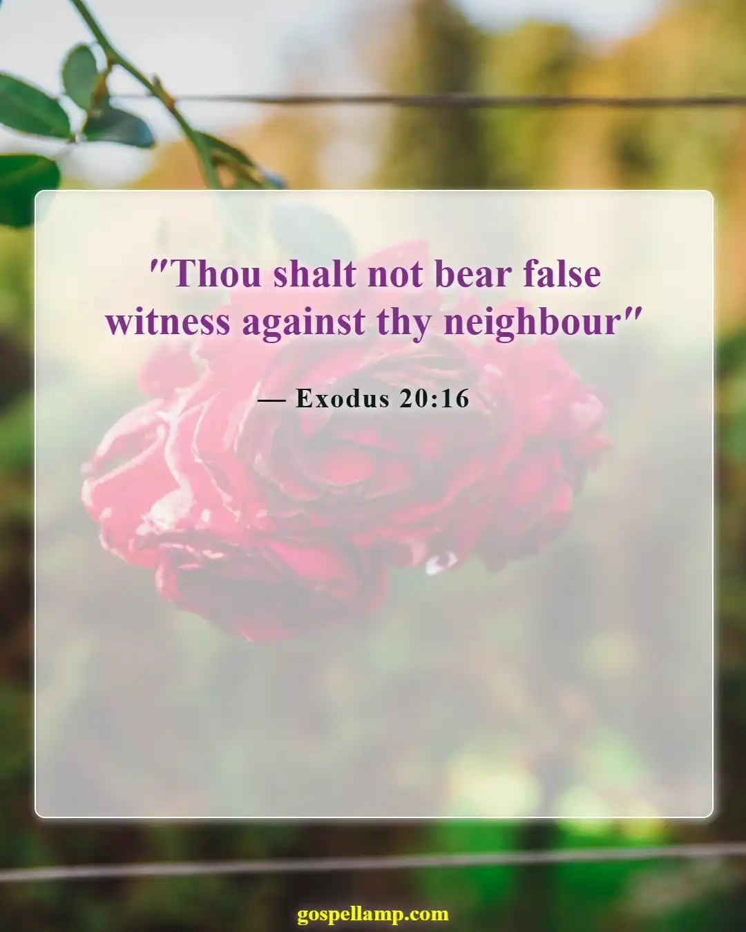 Exodus 20:16 :- Do not bear false witness against others