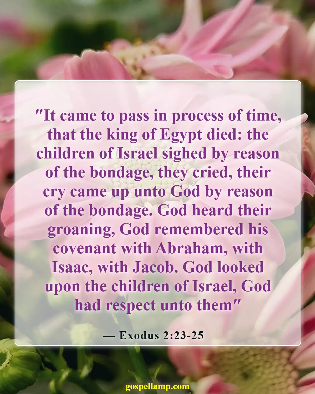 Bible Verses About Waiting For Answered Prayer (Exodus 2:23-25)