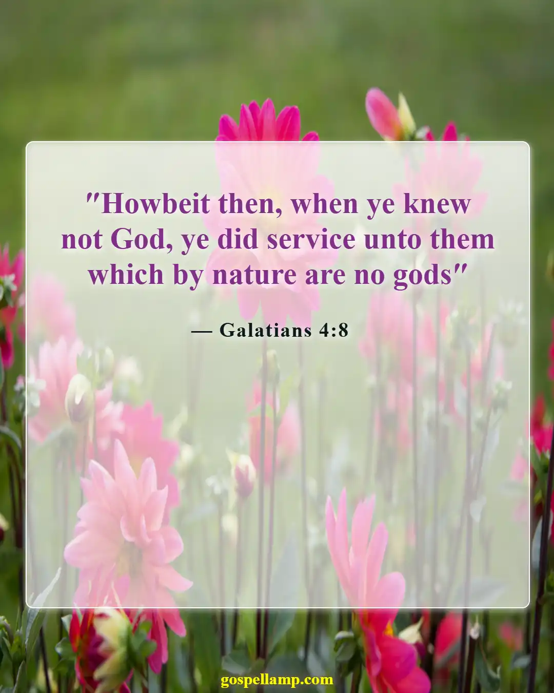 Bible Verses About Disrespecting God (Galatians 4:8)