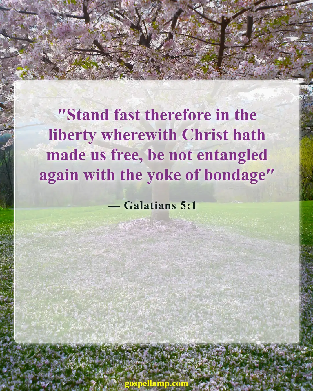 Galatians 5:1 :- Freedom through Christ from sin's bondage