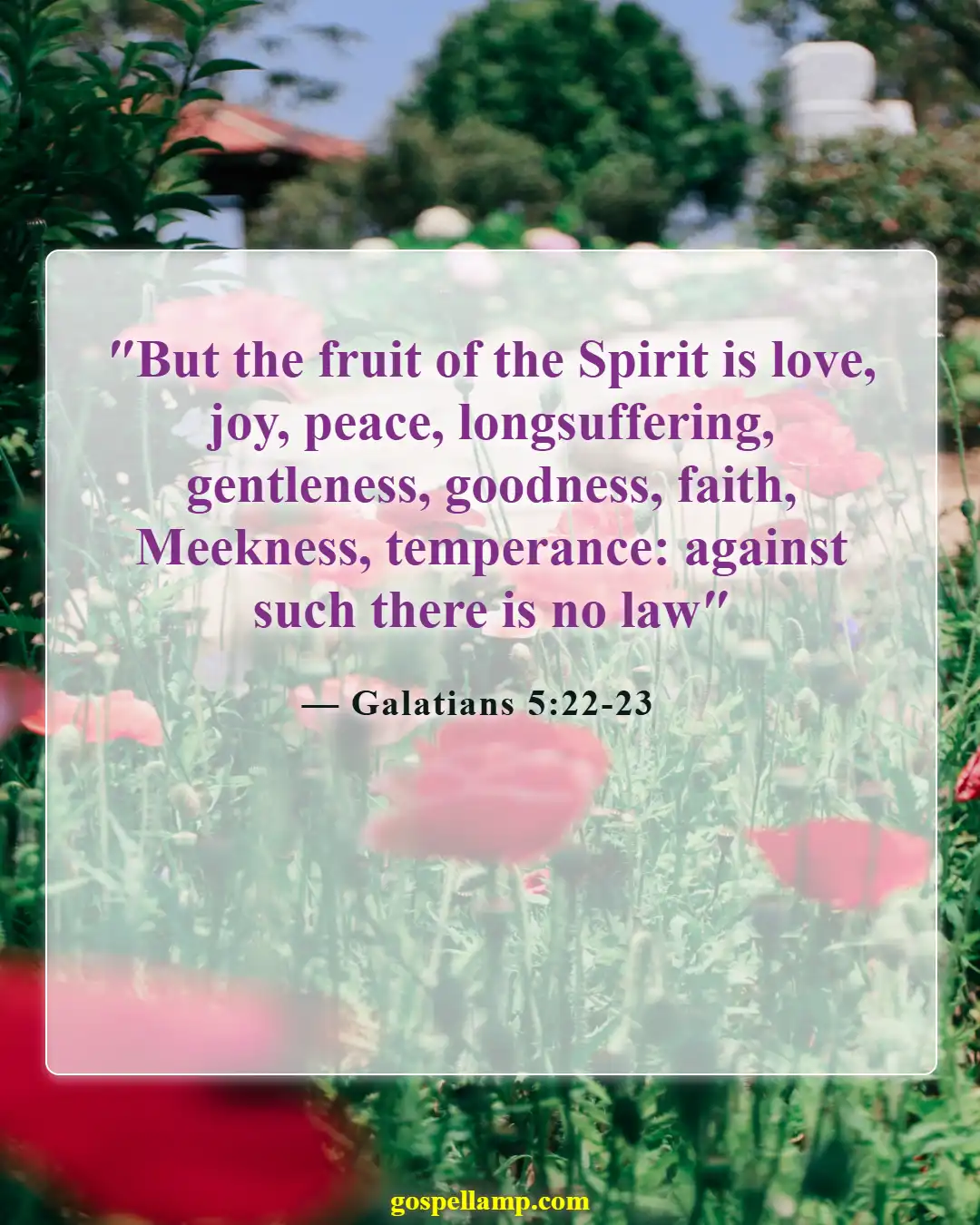 Galatians 5:22-23 :- Fruits of the Spirit: Peace and Joy