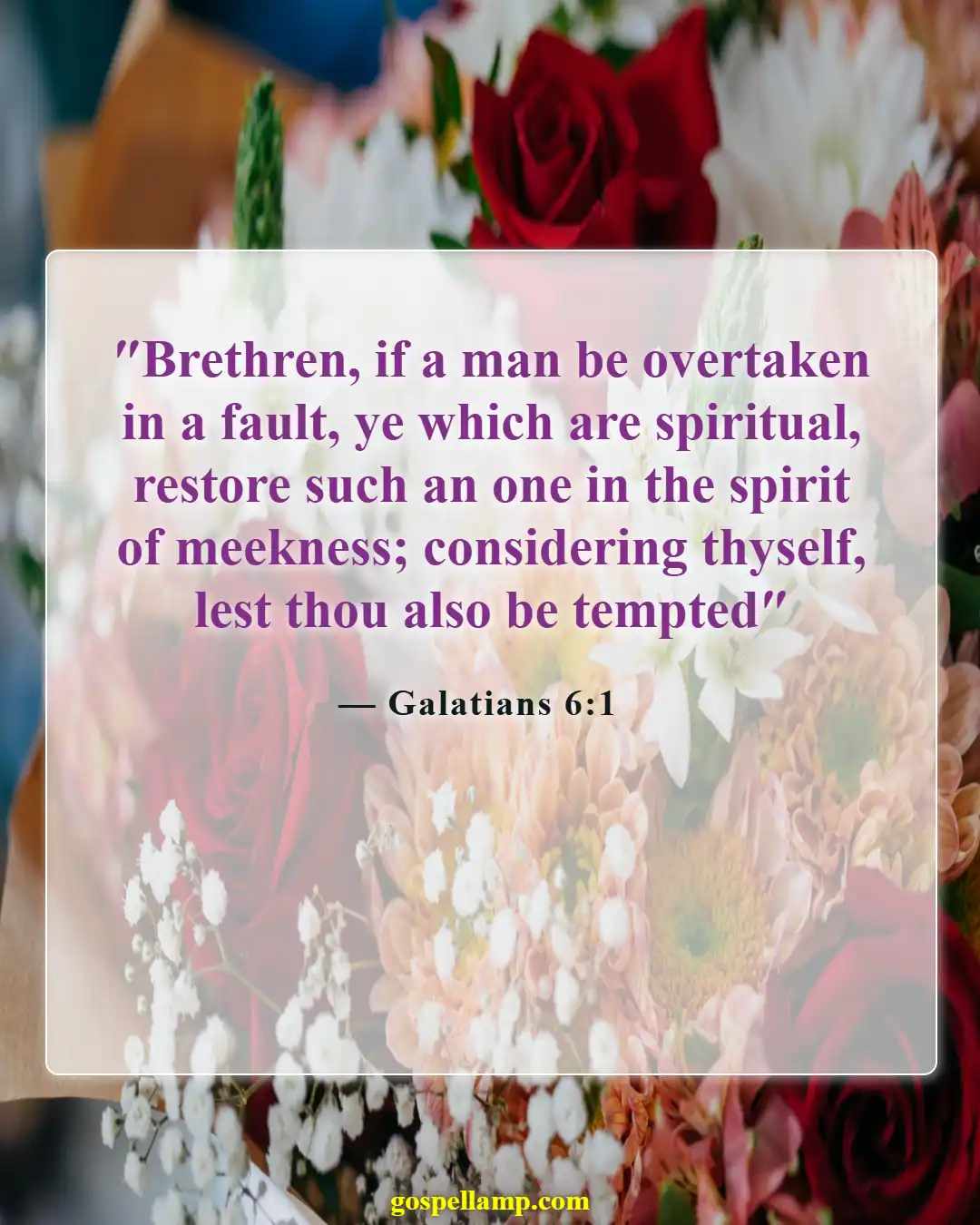 Galatians 6:1 :- Restore gently, bearing one another's burdens