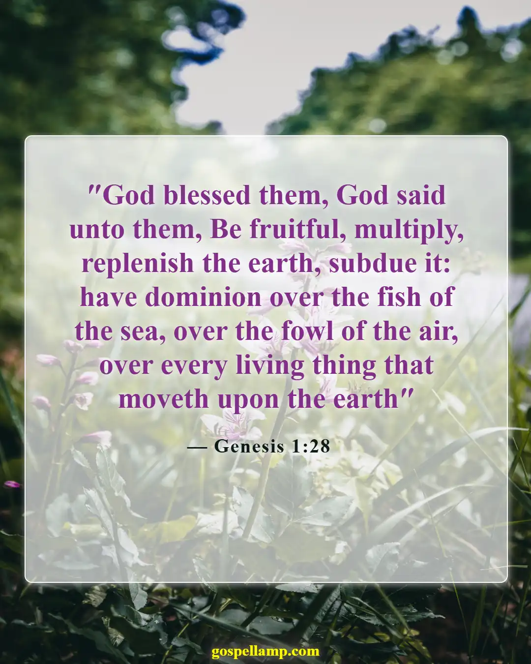 Bible Verses About Respecting God's Creation (Genesis 1:28)