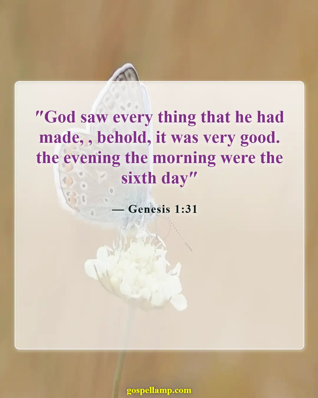 Bible Verses About Roses (Genesis 1:31)