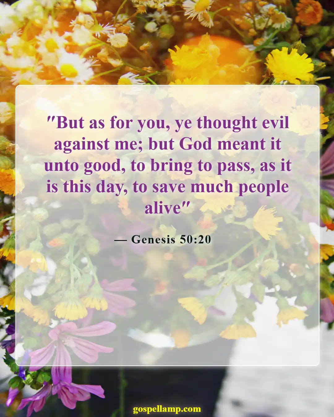 Bible Verses About Hardships And Problems (Genesis 50:20)