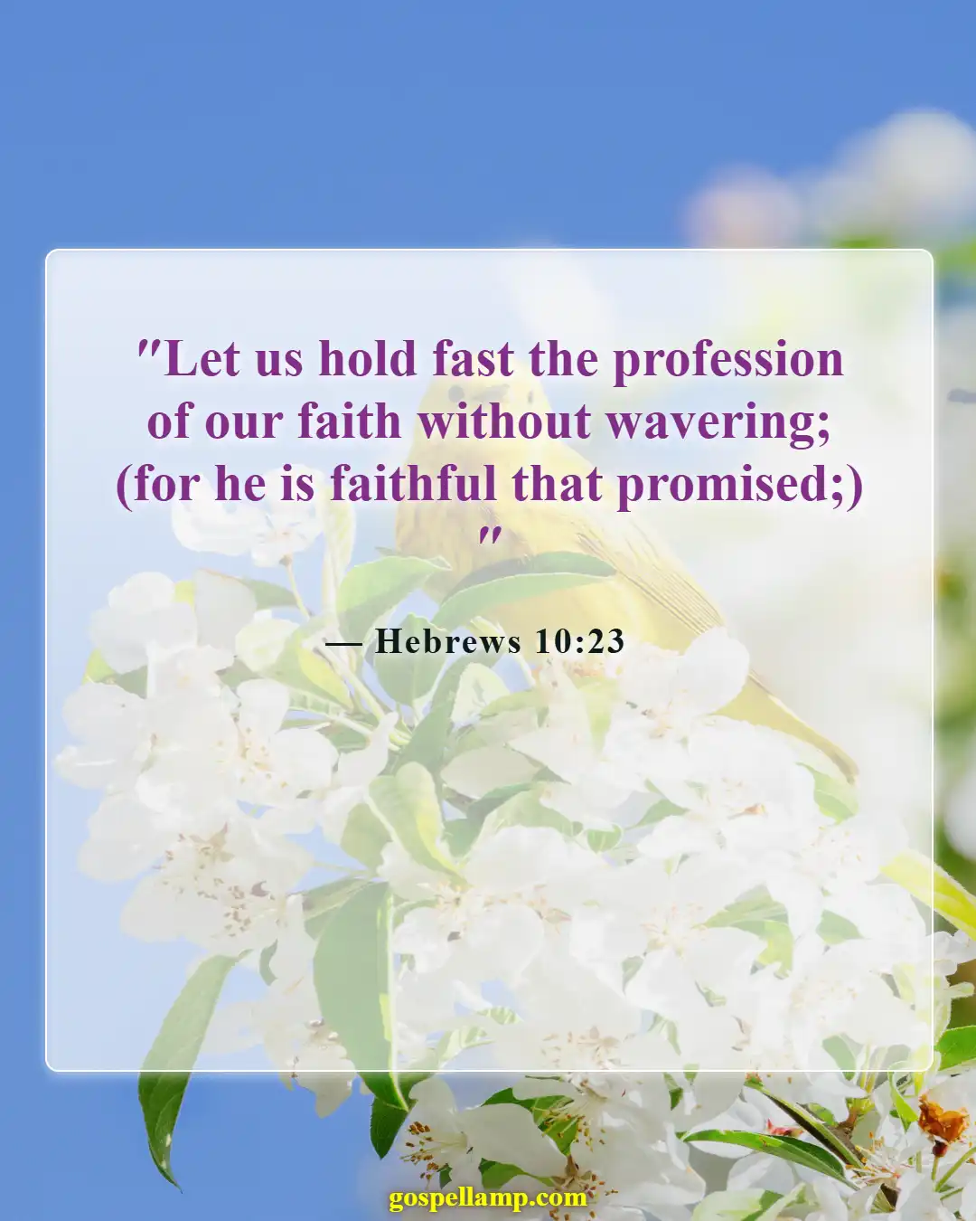 Hebrews 10:23 :- Hold unwavering faith in God's promises