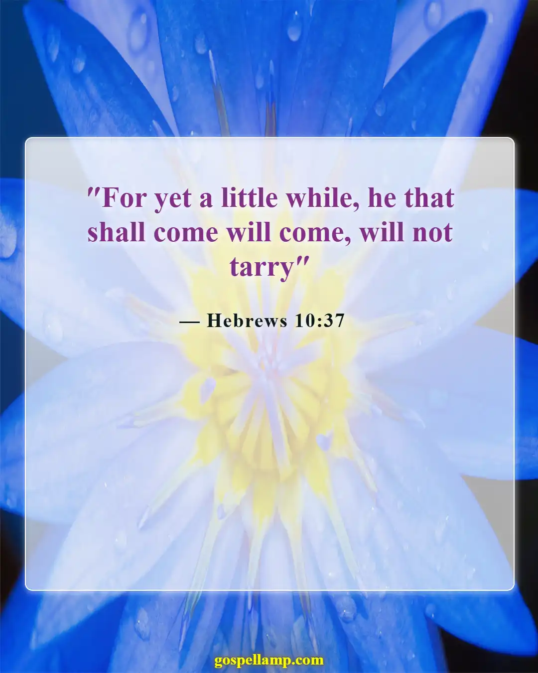 Hebrews 10:37 :- Patience in anticipation of Christ's return