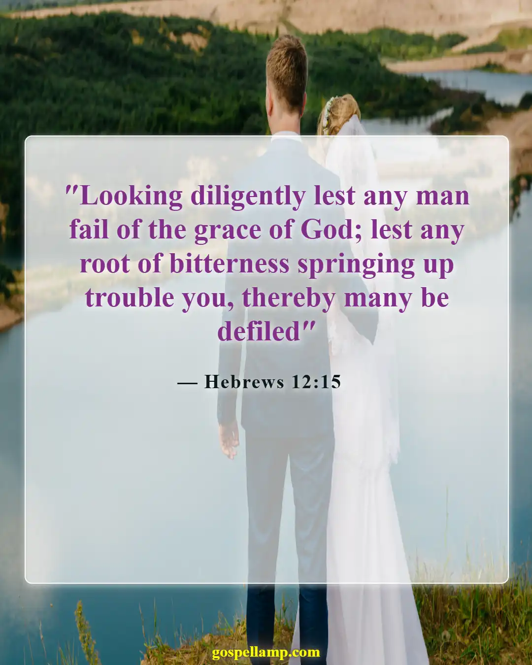Bible Verses About Letting Go Of Hurt Feelings (Hebrews 12:15)
