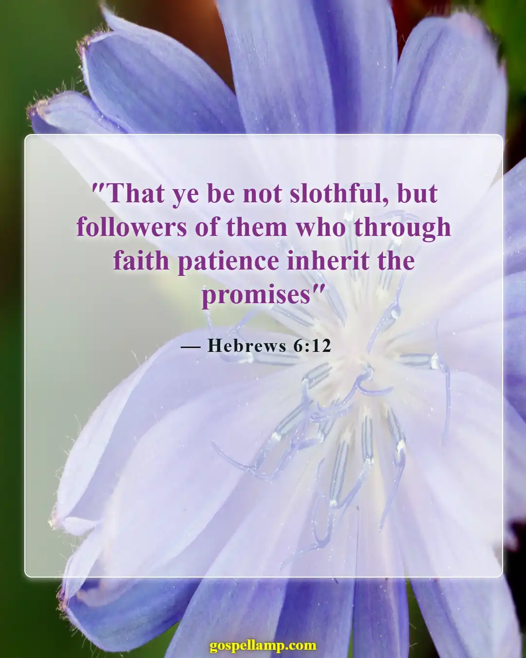 Hebrews 6:12 :- Imitate patience and faith for endurance
