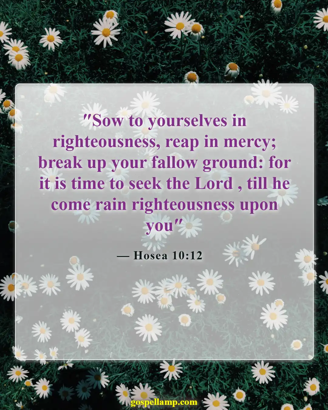 Bible Verses About Karma (Hosea 10:12)