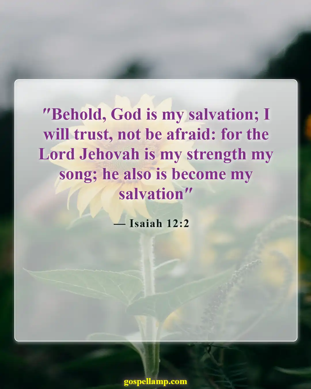 Isaiah 12:2 :- Trusting God brings strength and salvation