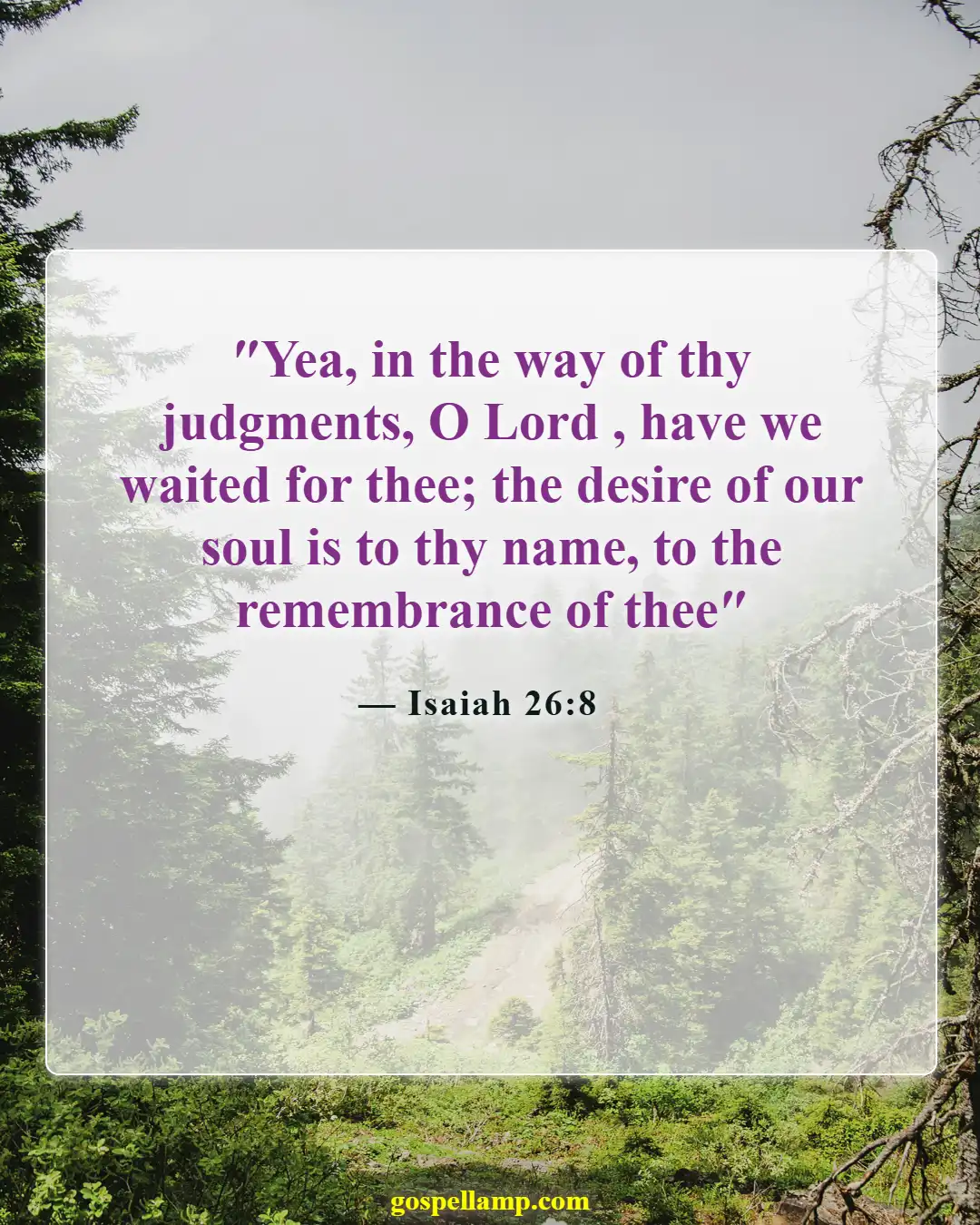 Bible Verses About Honoring God's Name (Isaiah 26:8)