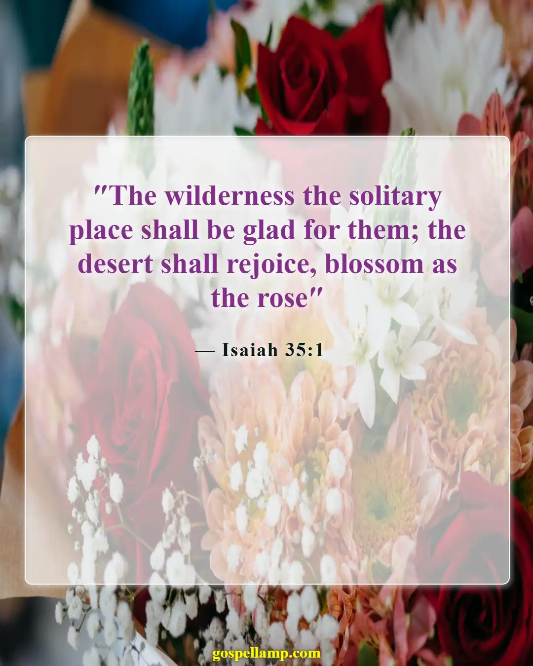 Bible Verses About Roses (Isaiah 35:1)