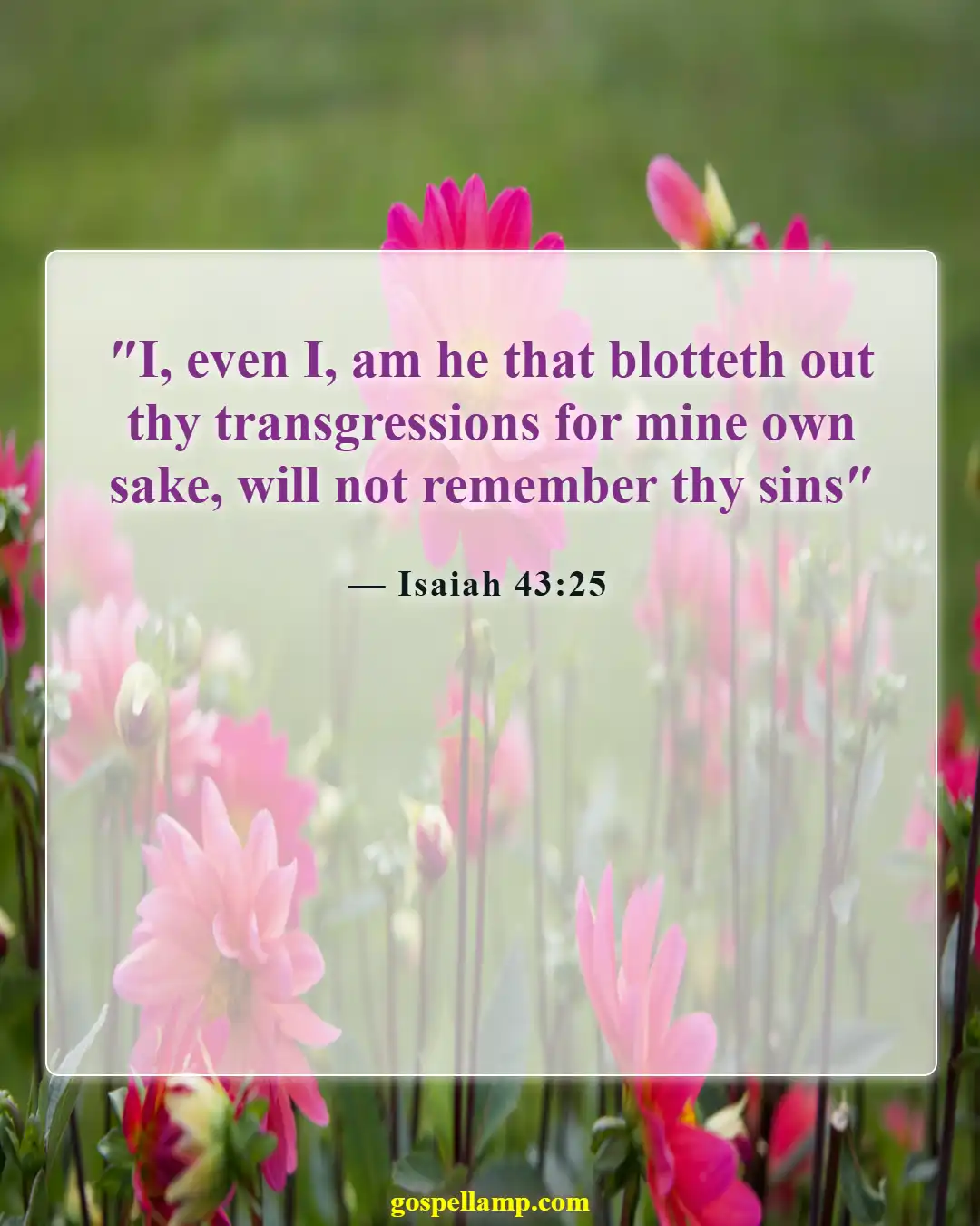 Bible Verses About God Forgiving Adultery (Isaiah 43:25)