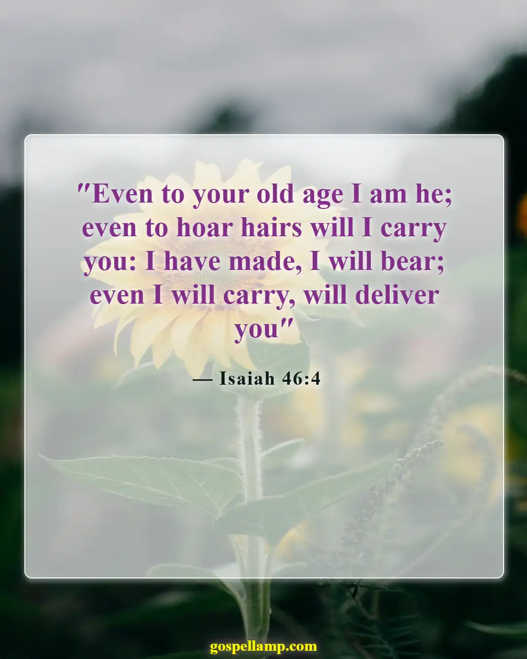 Bible Verses About Physical Appearance (Isaiah 46:4)