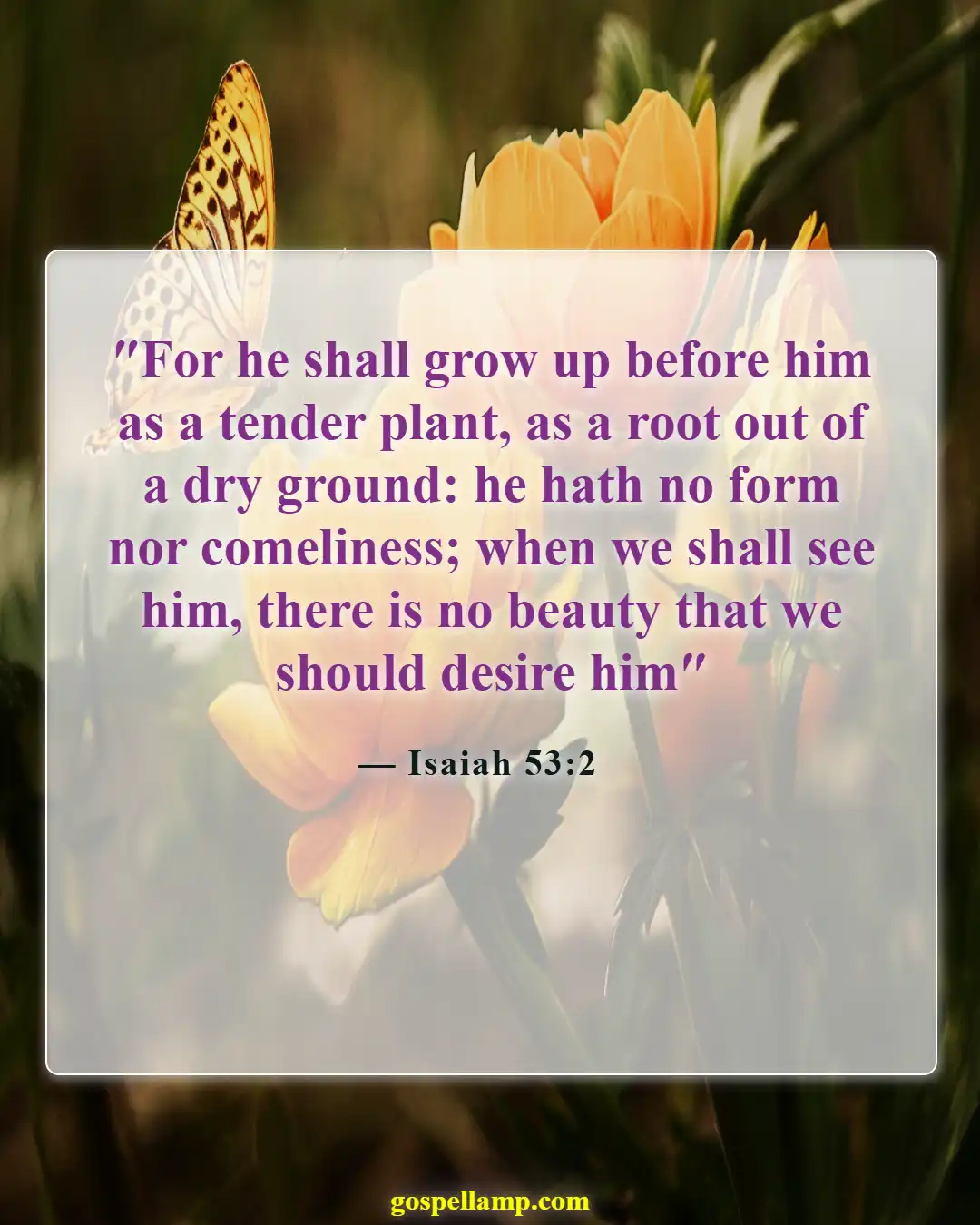 Bible Verses About Physical Appearance (Isaiah 53:2)