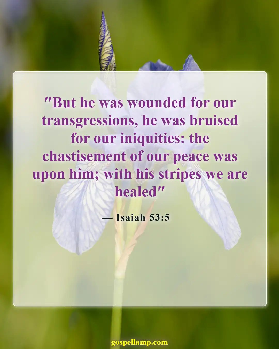 Isaiah 53:5 :- Healing through His wounds and sacrifice