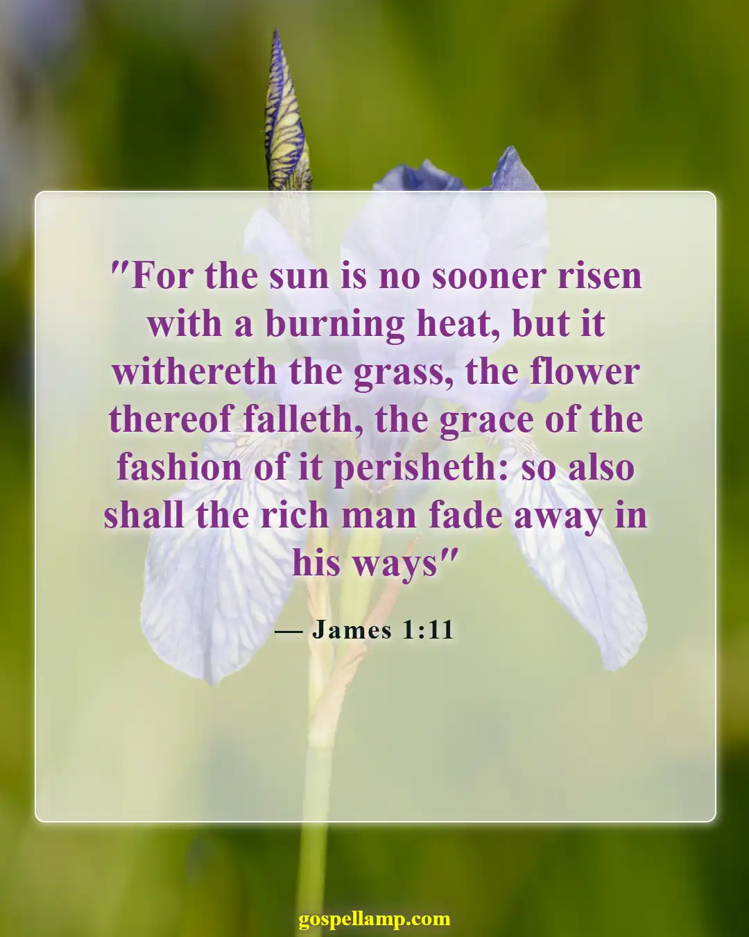 Bible Verses About Sun (James 1:11)