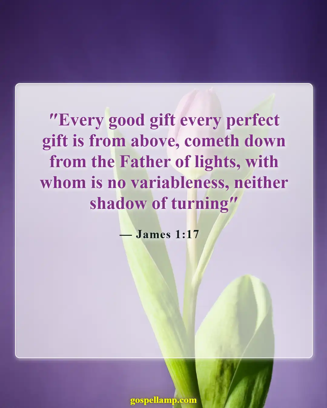 James 1:17 :- Every good gift comes from above