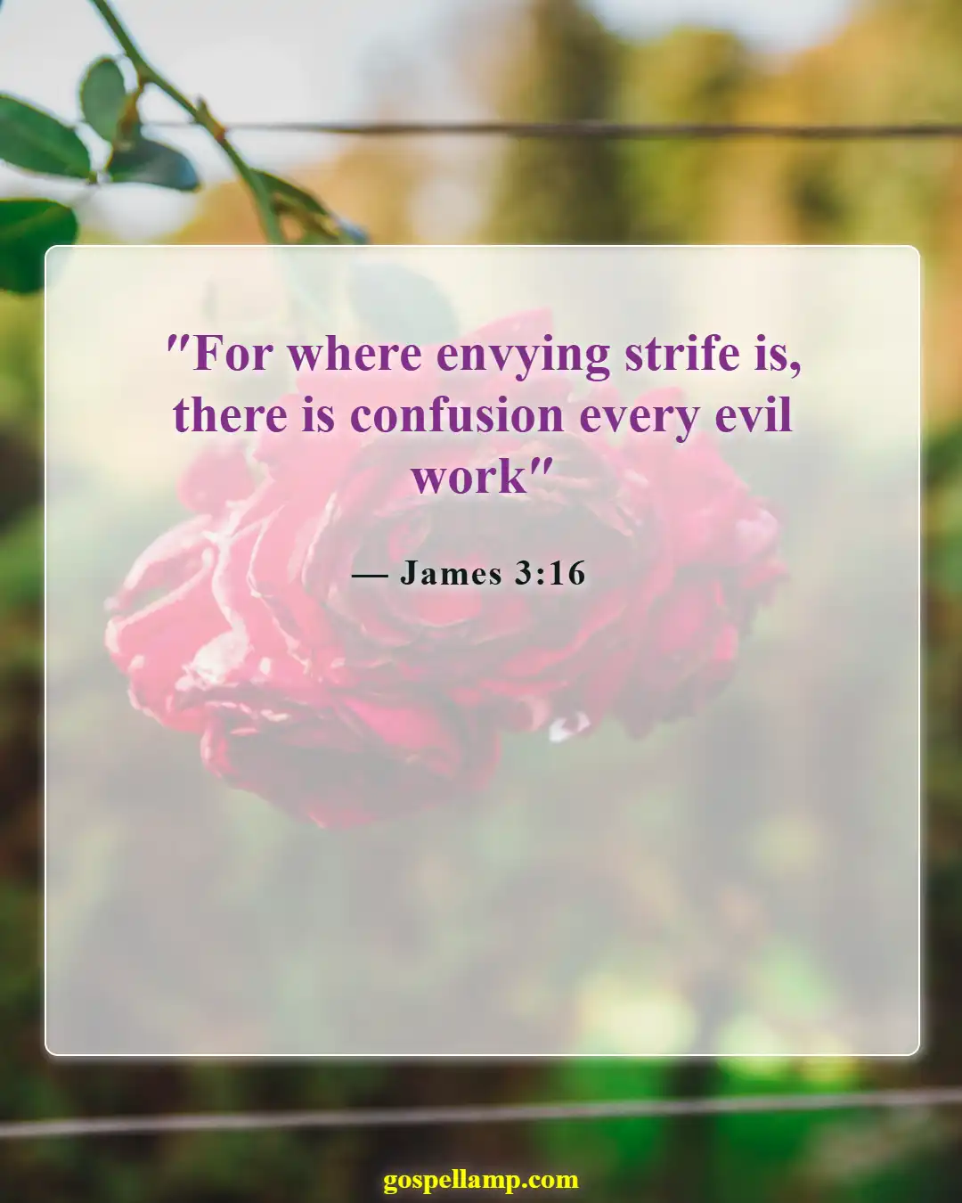 Bible Verses About Greed And Selfishness (James 3:16)