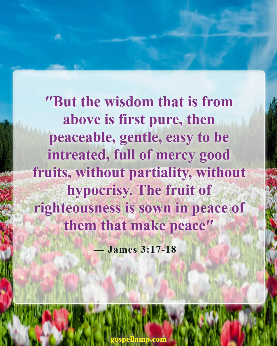 Bible Verses About Falling In Love With The Wrong Person (James 3:17-18)
