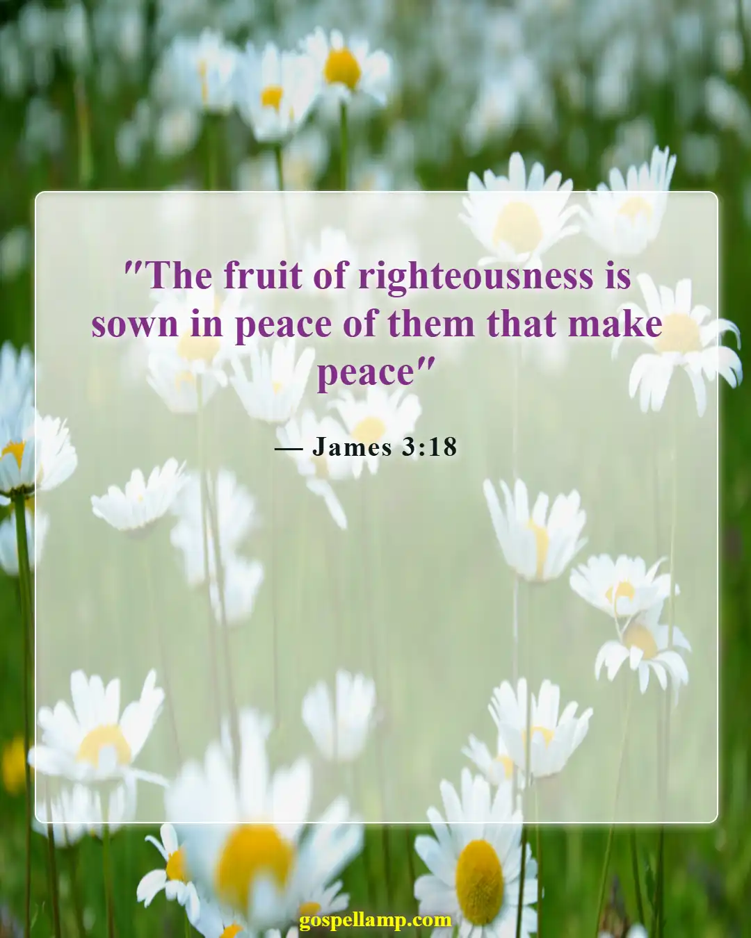 James 3:18 :- Peacemakers cultivate righteousness in God's presence