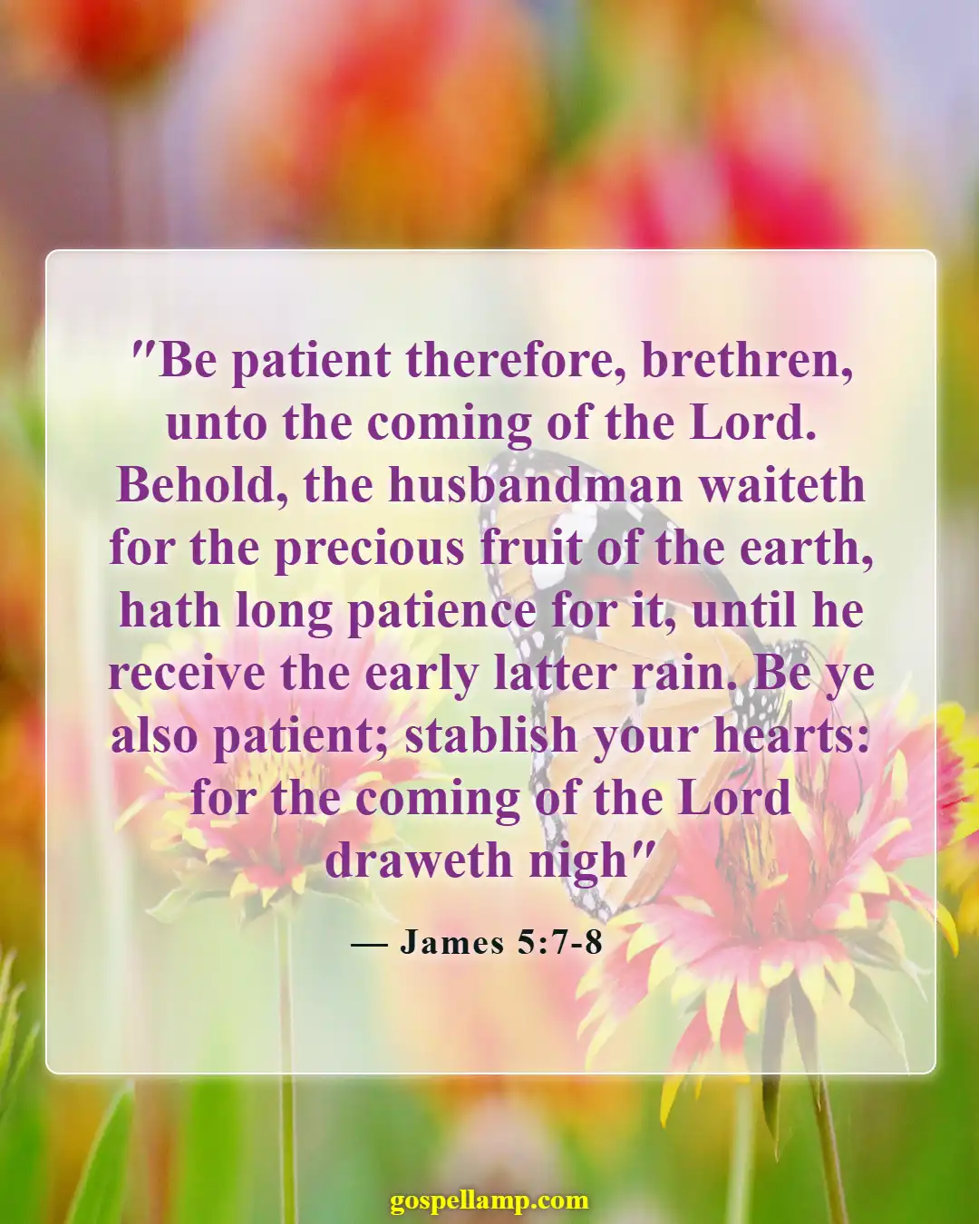 James 5:7-8 :- Patience in anticipation of Christ's return