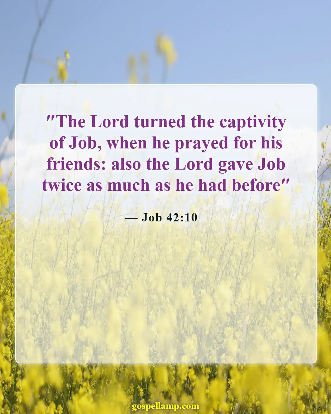 Bible Verses About Despair (Job 42:10)