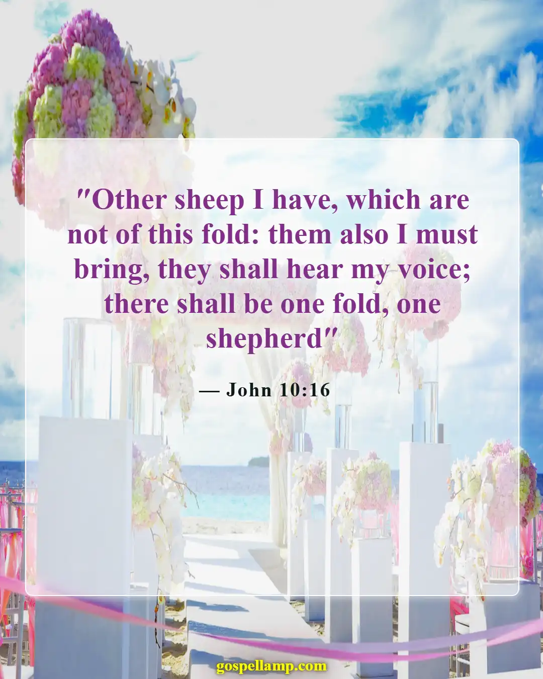 Bible Verses About Missions And Evangelism (John 10:16)