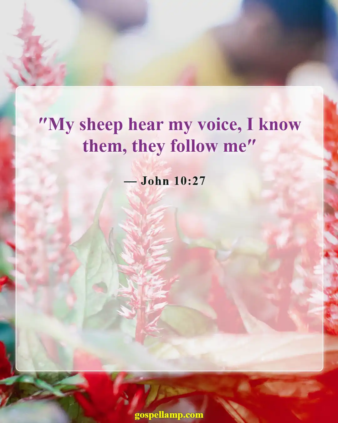 John 10:27 :- His sheep hear and follow His voice