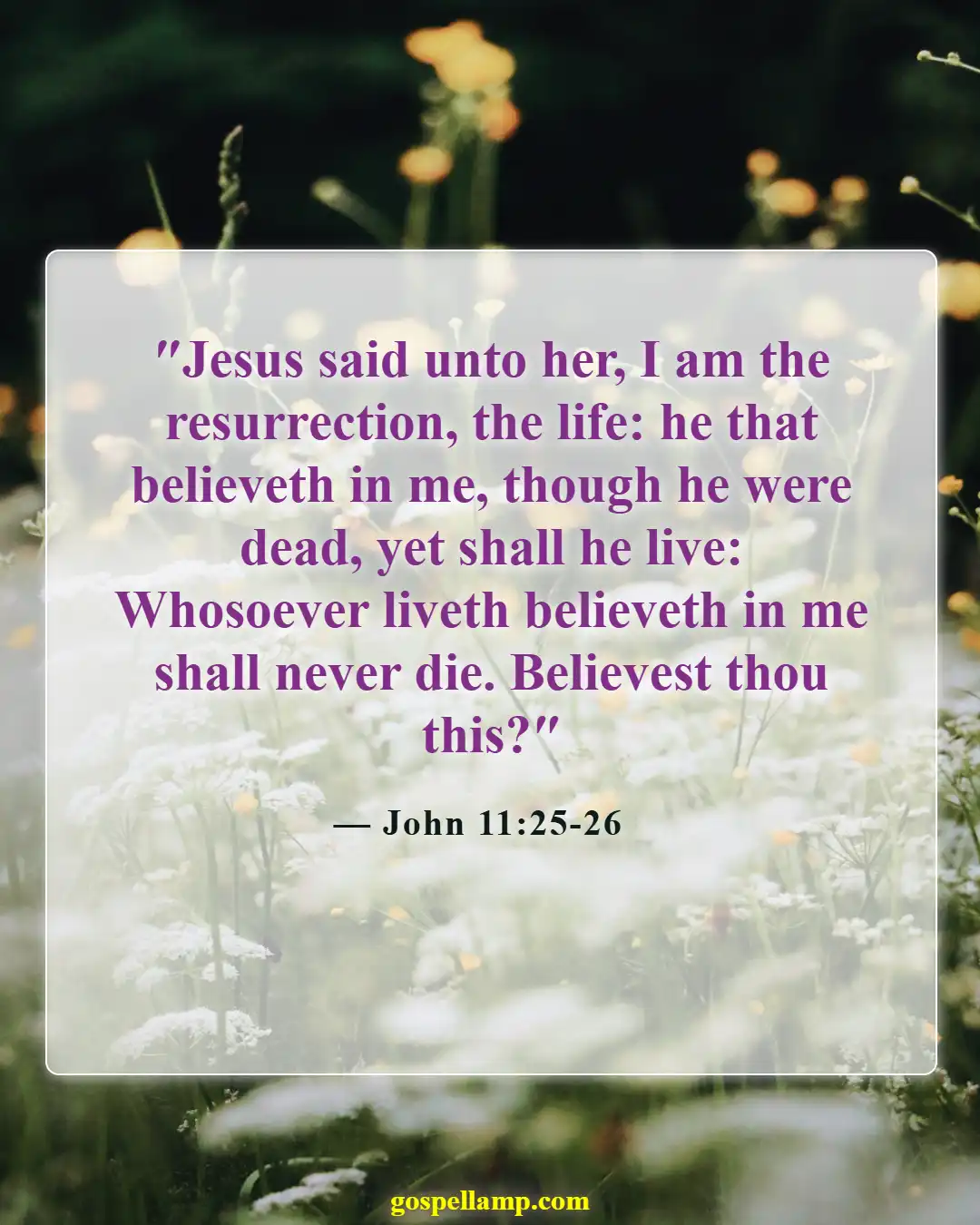 John 11:25-26 :- Jesus promises eternal life to believers