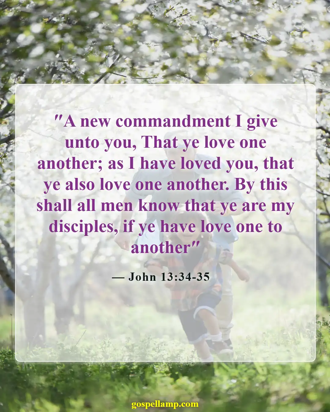 John 13:34-35 :- Love one another as I have loved