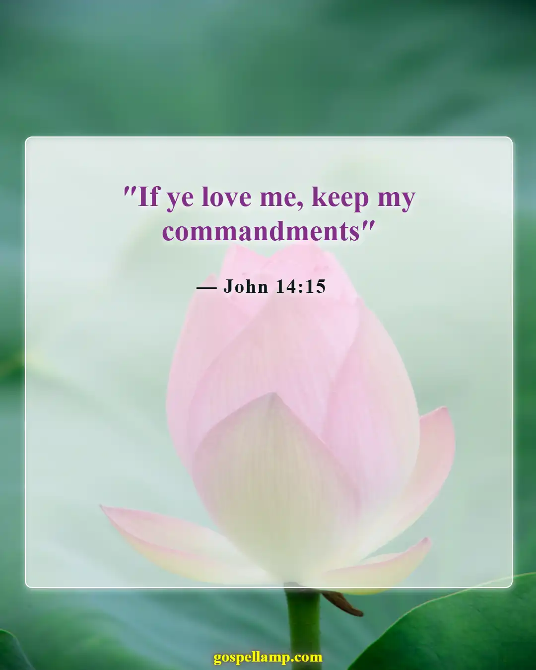 John 14:15 :- Love and obedience to God's commandments